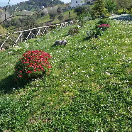 Nella Casa Delle Prugne