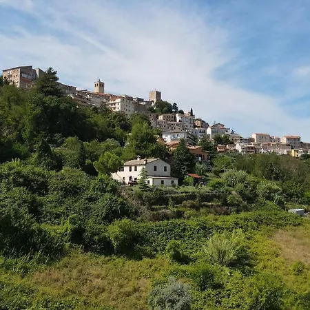 Nella Casa Delle Prugne *