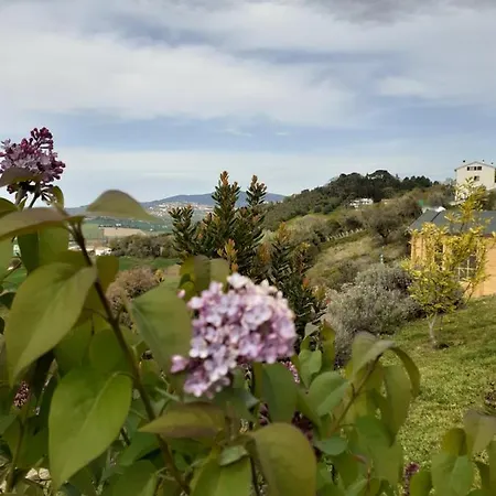 Nella Casa Delle Prugne