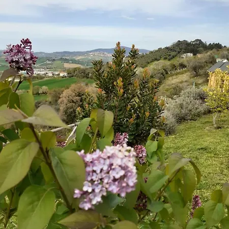 Gæstehus Nella Casa Delle Prugne *