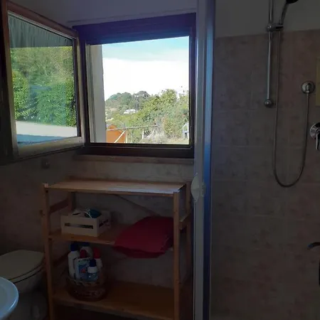 Nella Casa Delle Prugne Osimo