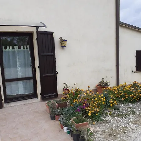 Nella Casa Delle Prugne * Osimo